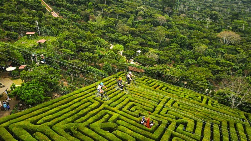 Ruta de las Flores