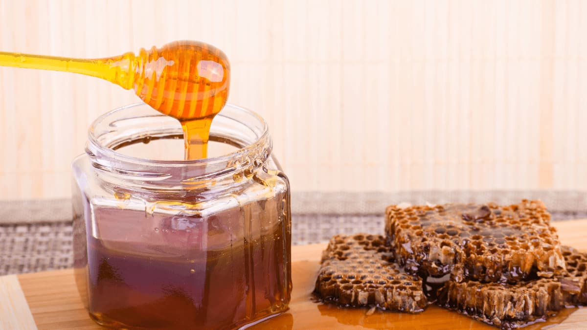 Pure Wildflower Honey — Morazán Mountains