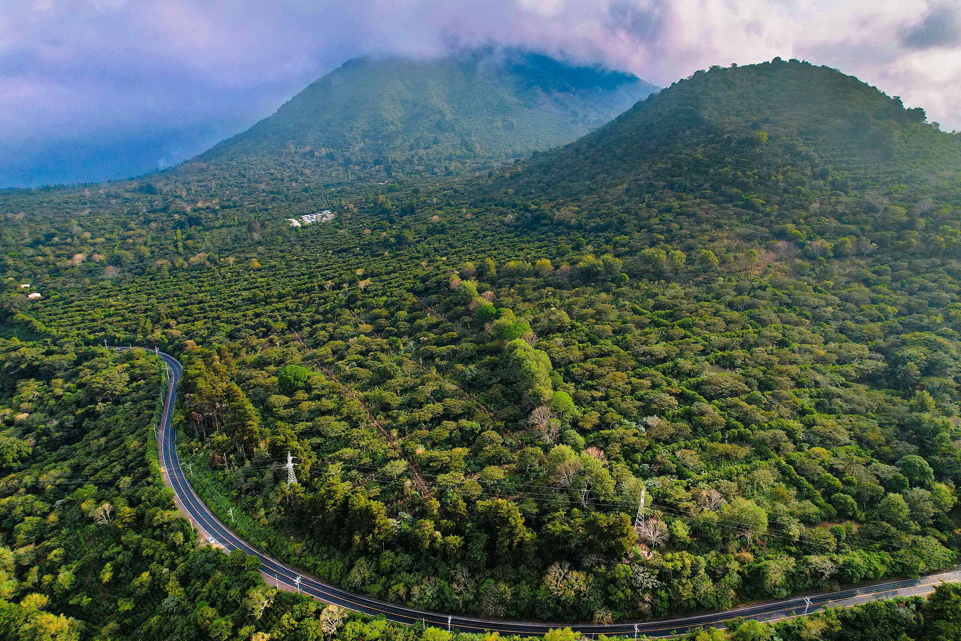 Ruta de las Flores & Artisan Markets